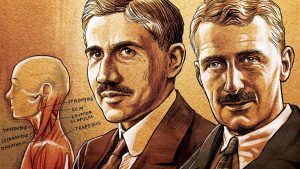 Hill and Otto Meyerhof studied how muscles use chemical energy to contract and recover