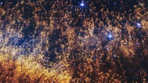 “We find that continued dark matter feeding can allow black holes born with masses as low as