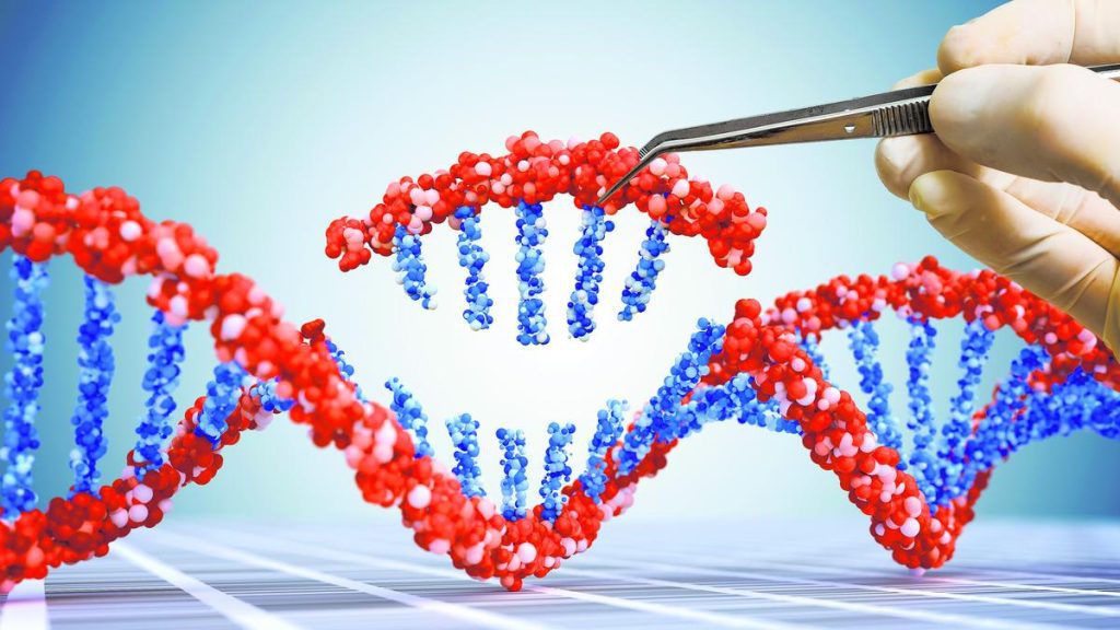 Biotechnology in relation to healthcare directly affects how we live, how we heal, how we