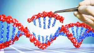Biotechnology in relation to healthcare directly affects how we live, how we heal, how we