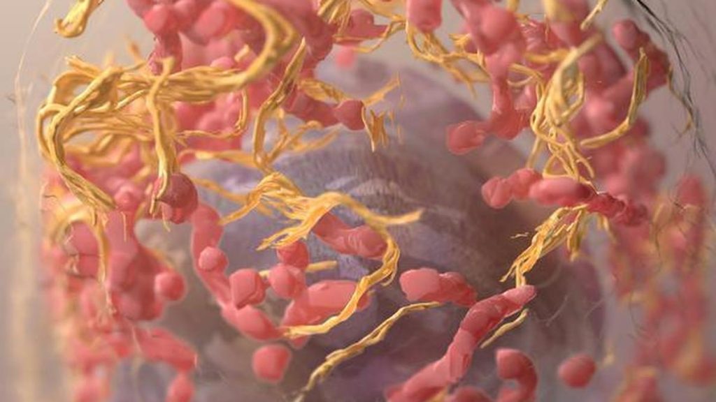 More fundamentally, India needs a national melanoma registry, stronger epidemiological
