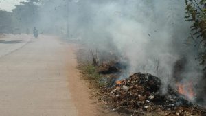 Open waste burning was not the dominant source of citywide particulate pollution
