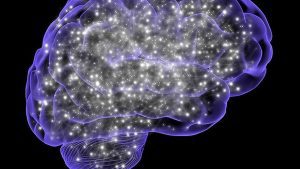 U.S. study tests psilocybin to fight cancer side effects