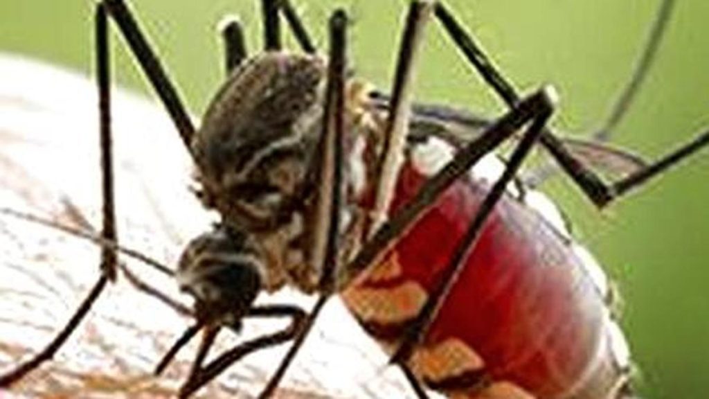 Thiruvananthapuram, for instance, has long been regarded as Keralam’s dengue hotspot, although