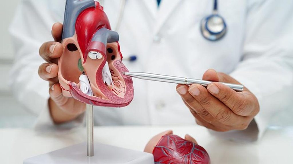 Post the successful completion of a Transcatheter Aortic Valve Implantation (TAVI) procedure