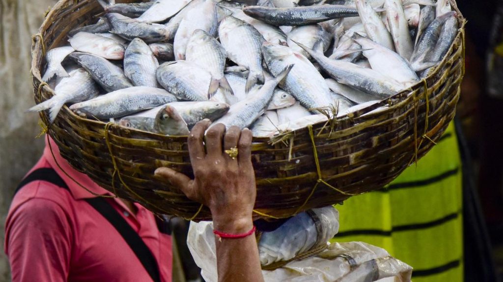 India's plan to begin natural-capital and climate-risk accounting of its blue economy | Explained