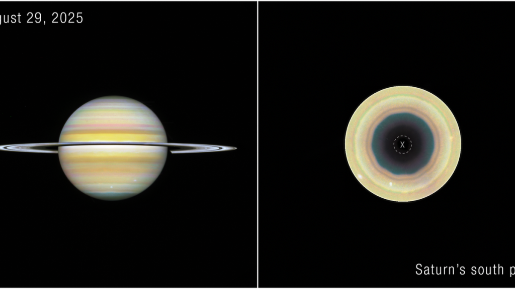 September 6, 2026 — Science Snapshots