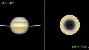 September 6, 2026 — Science Snapshots