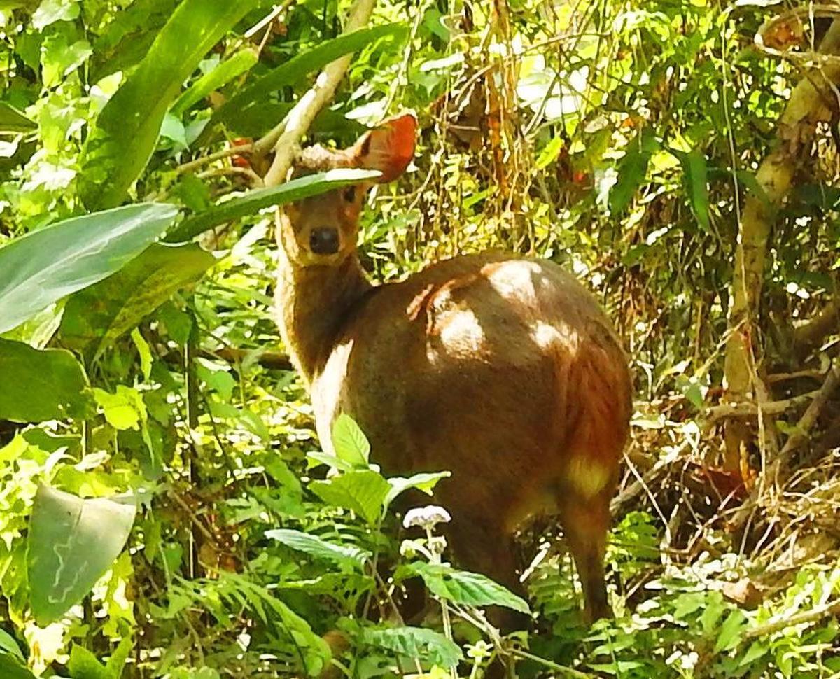 48 students logged 5,932 observations and documented 1,517 unique species, according