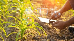Kerala creates 11-member, Chief Secretary-led State AgriStack Data Governance Committee for farm