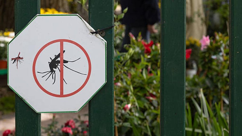 Now for the first time, scientists scoured the country, sampled 126 mosquitoes from 13 regions