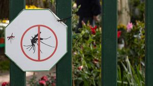 Now for the first time, scientists scoured the country, sampled 126 mosquitoes from 13 regions