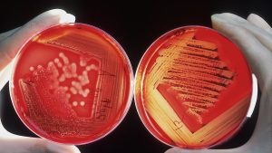 Recently, a team of British scientists reported an important first step in this direction