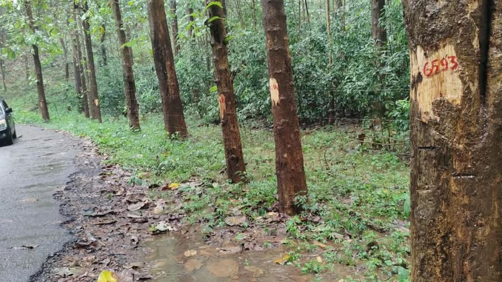 Santhosh, legal representative of ANEC Trust, said the proposed solar fence would span about 38