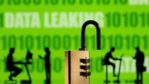 Government agencies and companies around the world shut down websites Wednesday after two