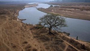Environmental activists have expressed concerns about the impact of the Keralam government’s
