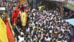 Frame SOP governing participation of elephants in temple events, religious functions, Madras HC