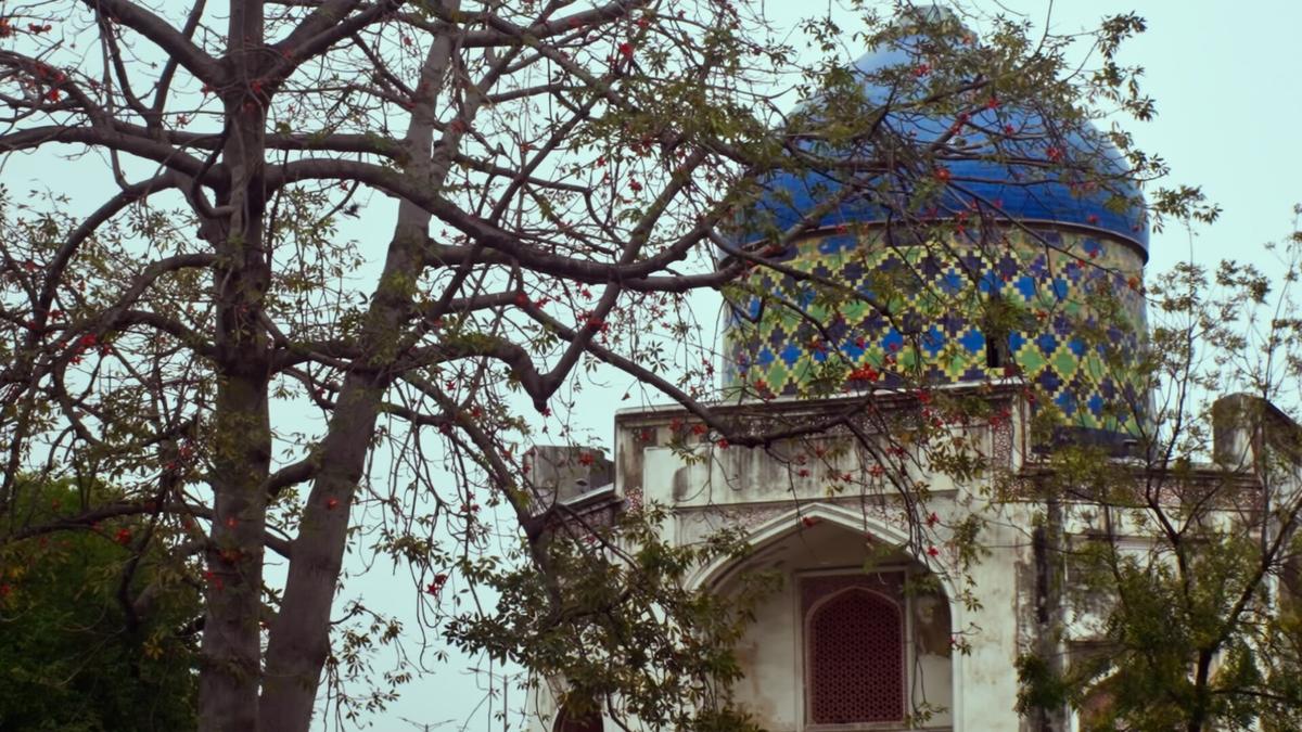 Roundglass Sustain's short film A Spring Against All Odds to be showcased at international film