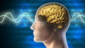 Health Wrap Episode 54 discusses Nobel 2026, brain research and healthcare access