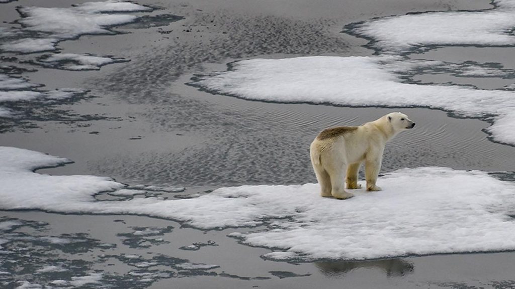 But after nearly three years of debate, members of the world’s leading authority on climate