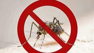 Malaria infections worrying public health experts in Keralam