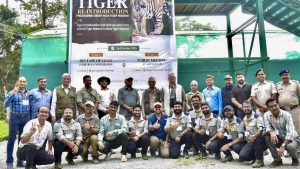 Because of the vast differences in the terrain and the habitat, however, translocating tigers