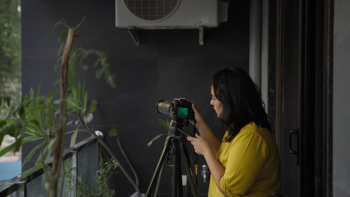 Roundglass Sustain's short film A Spring Against All Odds to be showcased at international film
