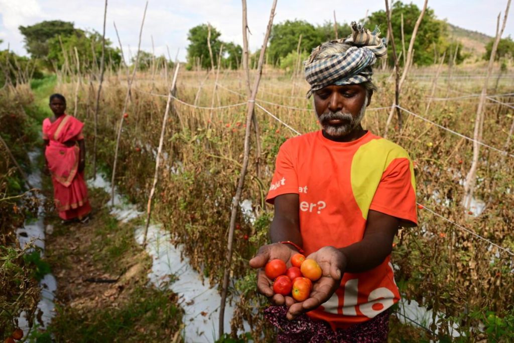 The ₹1-lakh-crore Rayalaseema Integrated Horticulture Hub project seeks to fix this