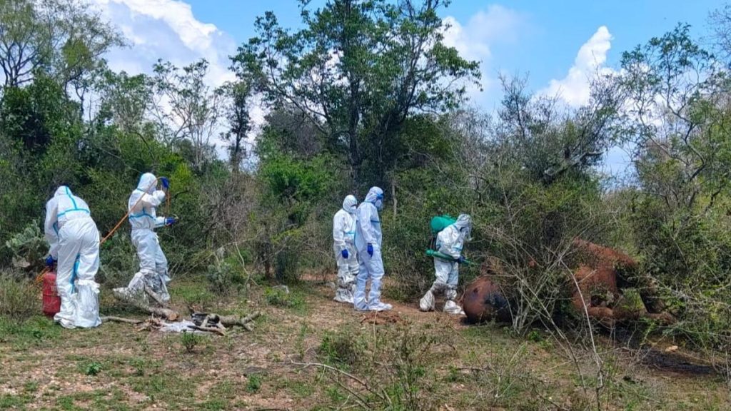 Anthrax infection kills female elephant in Coimbatore forest; carcass burnt