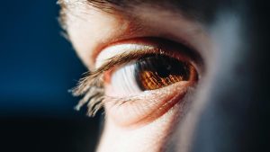 In humans, the sclerae (in both eyes) are white