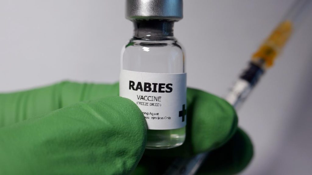 “Lack of consolidated data is a challenge in rabies eradication