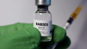 “Lack of consolidated data is a challenge in rabies eradication